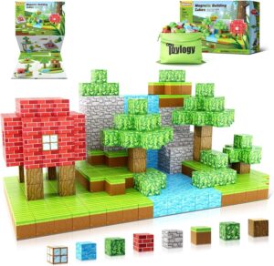 Read more about the article Magnetic Blocks-Build Mine Magnet World Edition Review